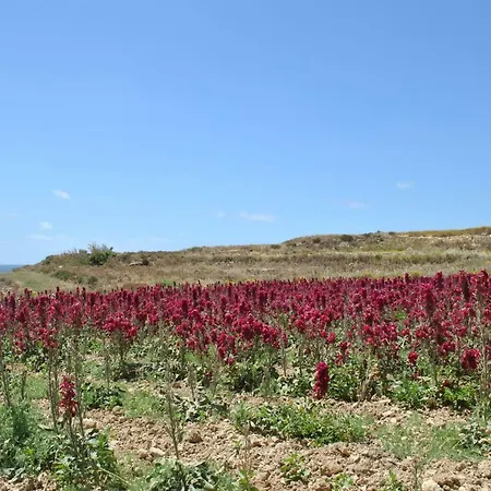 Il-grigal Apt. C1 Wind Rose Gozo Għarb